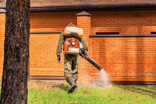Bed Bug Clearance Verification and Documentation in Awendaw